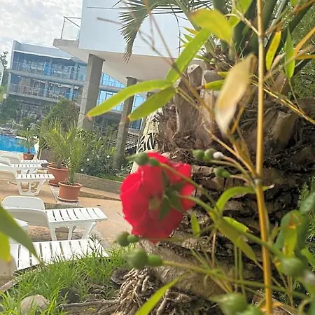 Kamenec Hotel Kiten (Burgas)